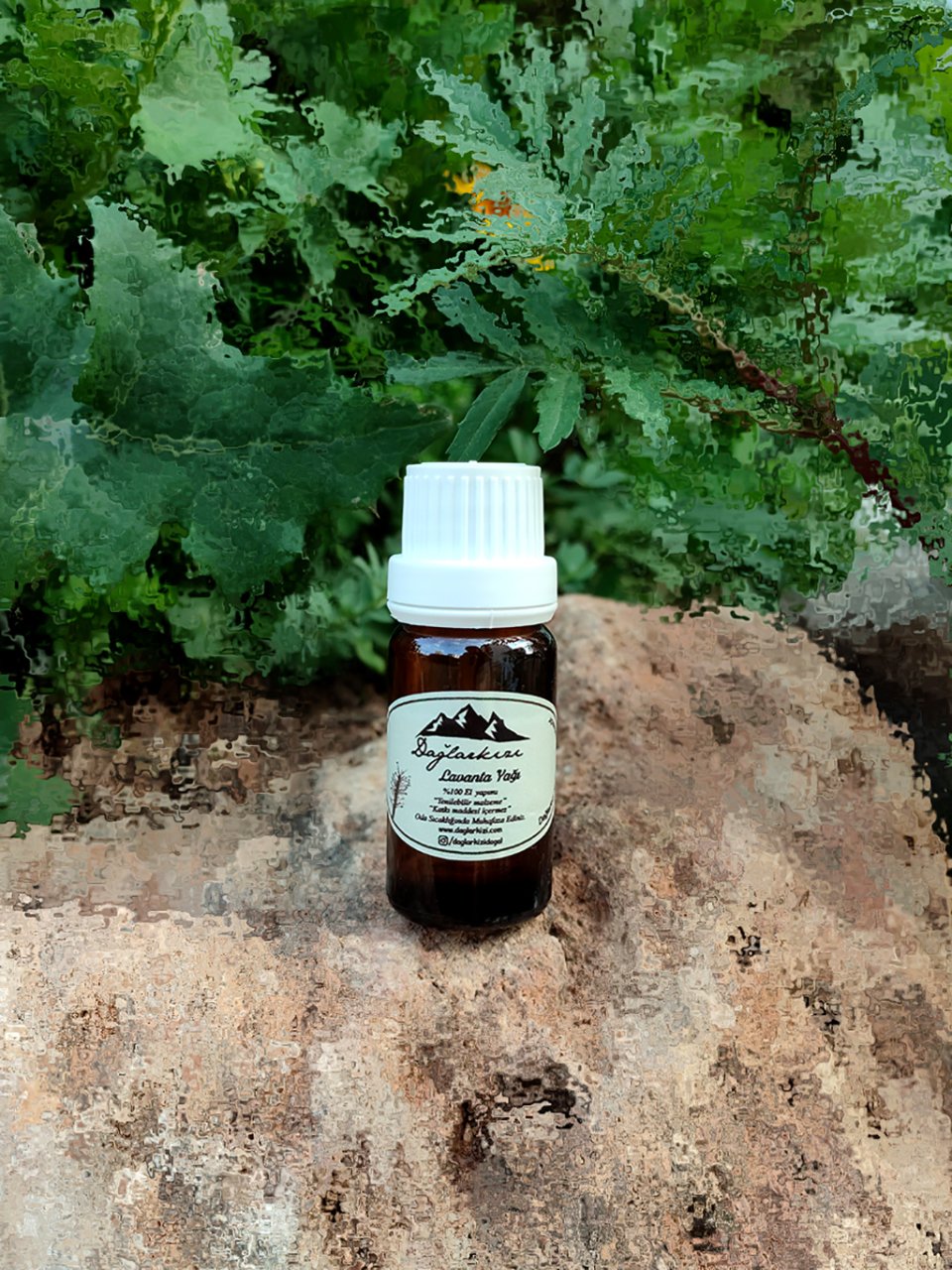 Lavanta Yağı 10ml