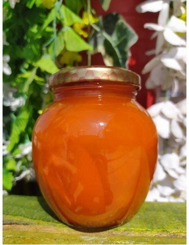 Kayısı Reçeli (420gr)