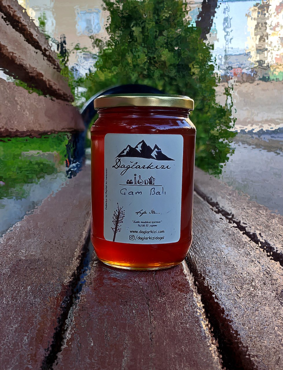Çam Balı (1000gr)