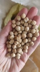 Yerli Tohum Doğal Nohut (1000gr)